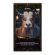 68784079173536017253161026026034740431675556215992411789776021662497471725588