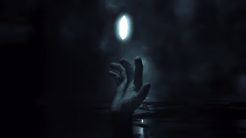 Item #21578329951144057194095419924992844966030074605231962513151141275405282967562 Media