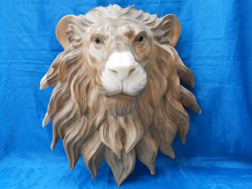 Item #54371441013976828548504551649774939984920052567286774396942028843479816208385 Media