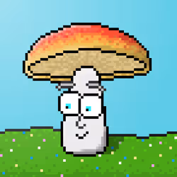 33741781216748986518517832568595493503429706584982134247768926041497095110657