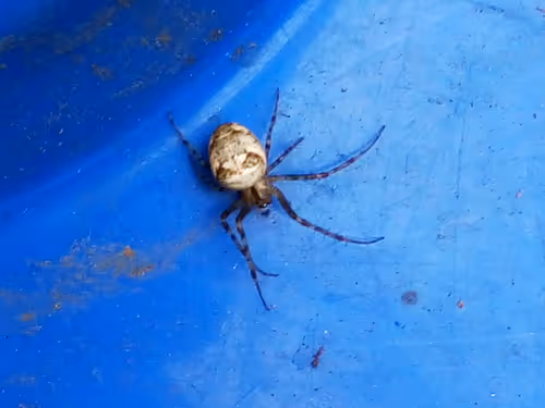 Item #18279368597565041265121237626867746954701071610314993633361532920301917044737 Media