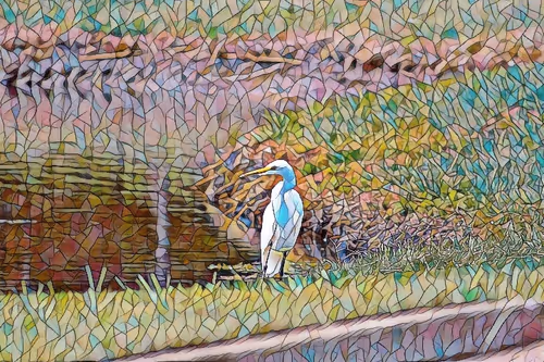 Item #32733674861489650832352945143157041569592525552396925725669160660855804657665 Media