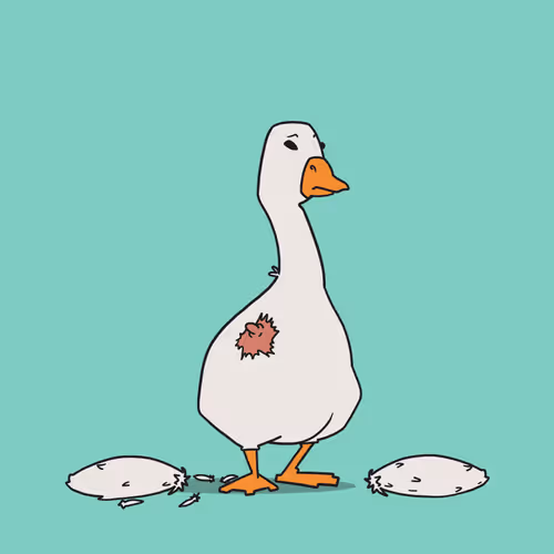 Business Ducks Inc