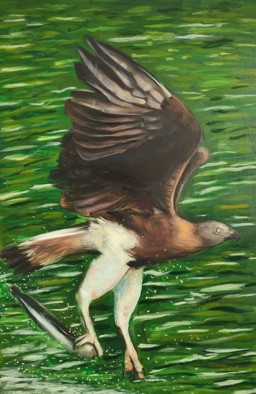 Item #64318745411404062669200330514642249182749671986222791980212163651804560622068 Media