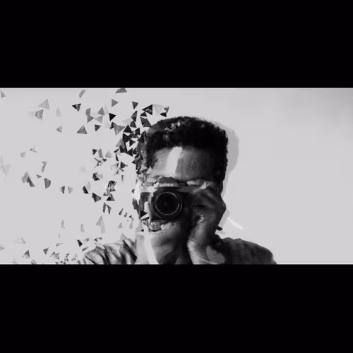 Untitled Collection #287530078