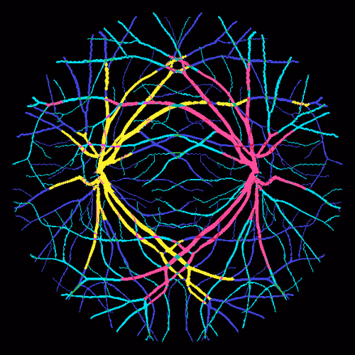 Item #7078802064077755305879053961196844759257248211509687953083586598283367153665 Media