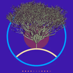 74168867016011539093366687608765447348507224284888477074887990571998201774081