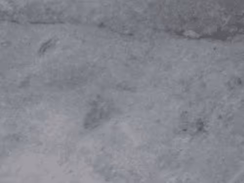 Item #4017430978311960055360420912292118390546952225668407761342997484512152125441 Media