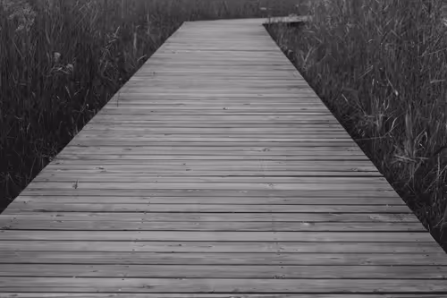 Item #88883349371163491607533237440798629699912672316183715139134230418488517722122 Media