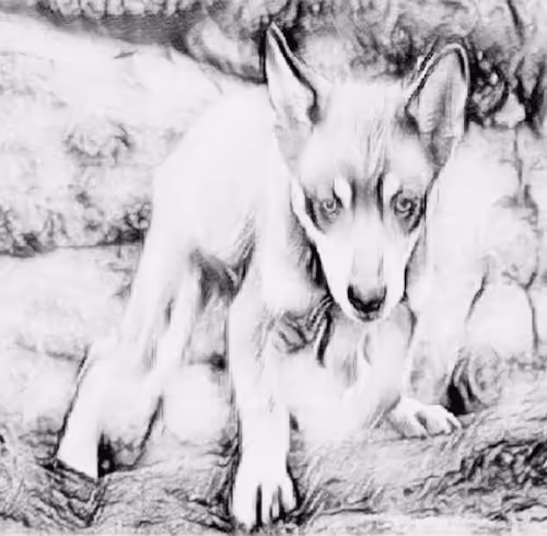 Item #23143313246472061328071561115701105421589606567298838424350448137942452928513 Media