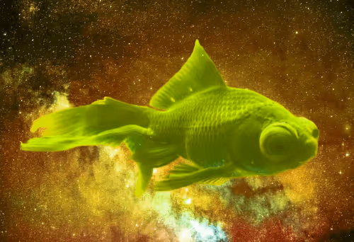 Item #64831065688873909434537665941137318682836571431209528516298654539569225007109 Media