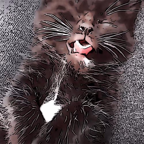 Item #100699266862010265980474664760375873767511284921164942724068626153157217484801 Media