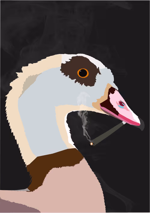 Item #46679994496108624530020148644785155104419172278486625888968681065277024108545 Media