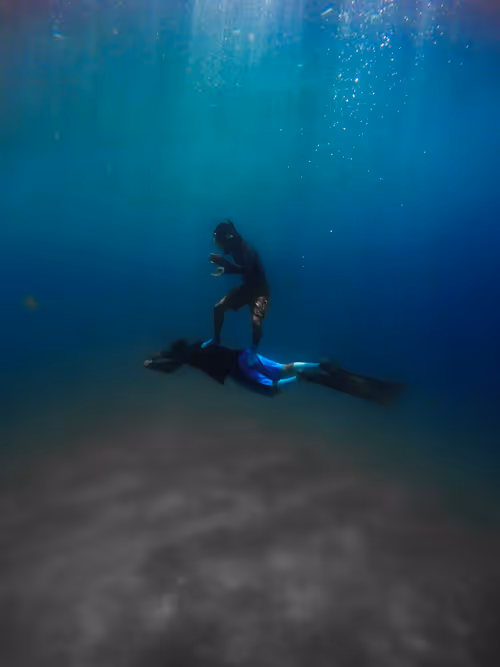 Item #77639041975894886609071233097545712090510044969555444171952761935493423169537 Media