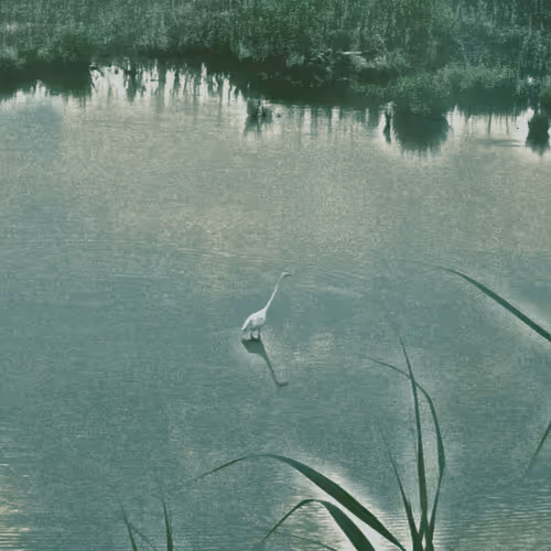 Item #40694385897019004877708049211938418028910489378000591634576071737957601509576 Media