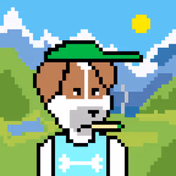 47654056999114043036718504968769856379755101361110030796076620293261274120193