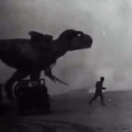 Drexelrex Collection