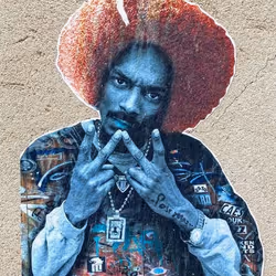 44780268195173871161572035472768948089987869065093867251645781376550479855617