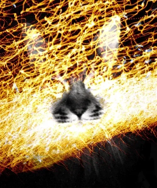 Item #46677297122039031221449977847173365421667821442589389250428357136206411071489 Media