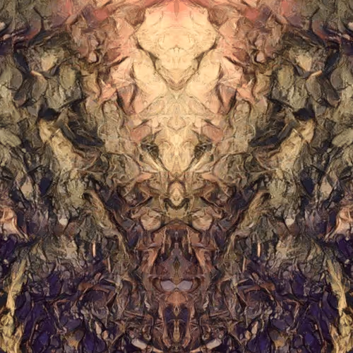 Item #9014892888264743428050996880452425346530032032796107823044975109192219099137 Media