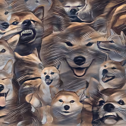 NftdogLover#5