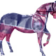 14195703436646468745199728662041842185351146069971577628603613855741877682177