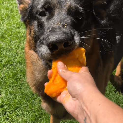 Item #94951261657889433440640425402549201589337916954067992377958453695072054542337 Media