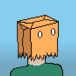 BAG GUY #0