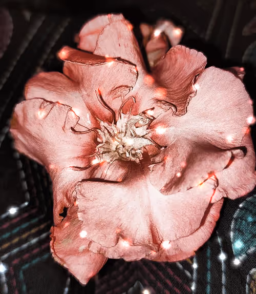 Item #38635769552370406339735606302440485679200118302111211897685168741775707209729 Media