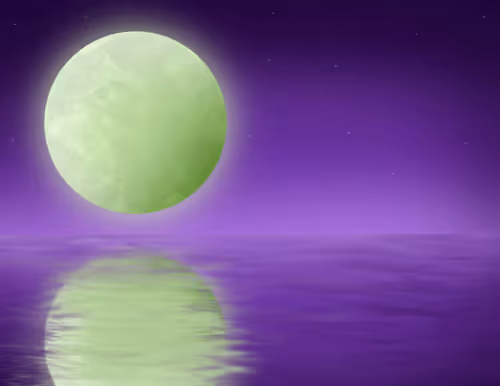 Item #7759405708321409562424869014357175846190305175980935923442919773828131323905 Media