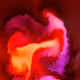 52087539950854178646088272389027861485925050461537543517158482951272751169586