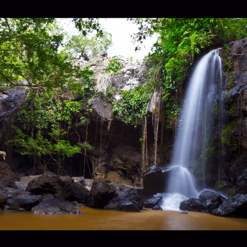 Untitled Collection #67259527