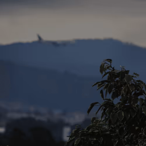 Item #81498860995216108978025477158528652111061065464227113611554735031913935798273 Media