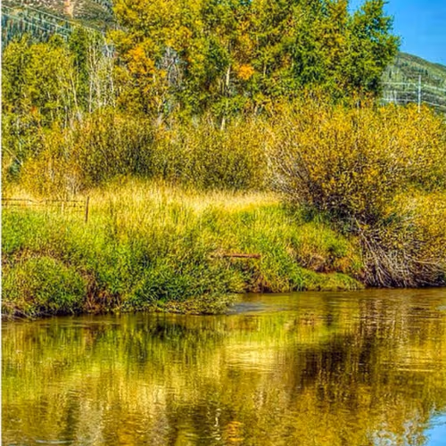 44709480693160417701152031466761867258351074556435739886014108961943221960705