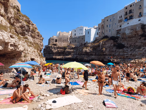 Item #43505702085321246701285015339688837487321998718285252344027785122658507554817 Media