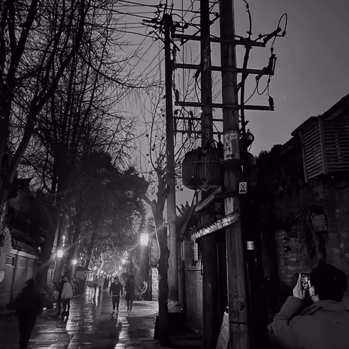 Untitled Collection #230215015