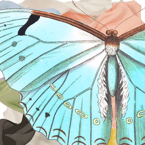 Item #47620704198085038270936133810301575302858789974451177890129086459298613035009 Media