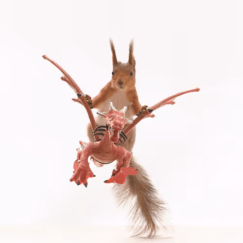 Item #41723246610632705543282218396403645401617984070439185990108432287606899736577 Media