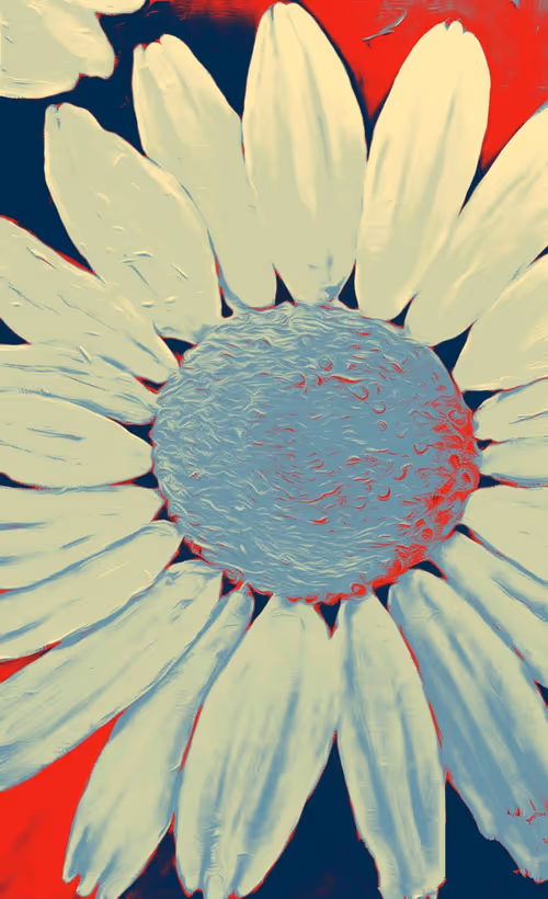 Item #20652599347766651817314997780074045281073956978484202770790908279590460850177 Media