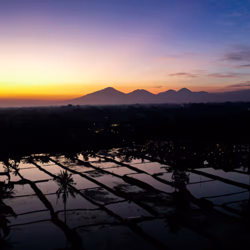 Item #65170774224761686467897777958858530668985530866482398372461515152149067071489 Media