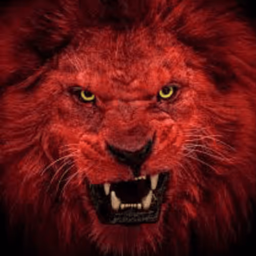 Untitled Collection #86832732