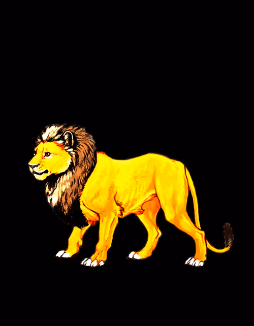 Item #10718540277315710937045072210228903679248945965460037094726672730851458940929 Media