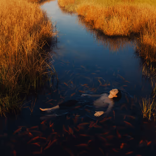 Item #78290495778488024413402900412975028234166831643233263215137554361569918320641 Media