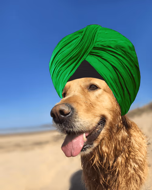 Item #26839399415497039076862880694069072006331525189107682525417321774189482344449 Media