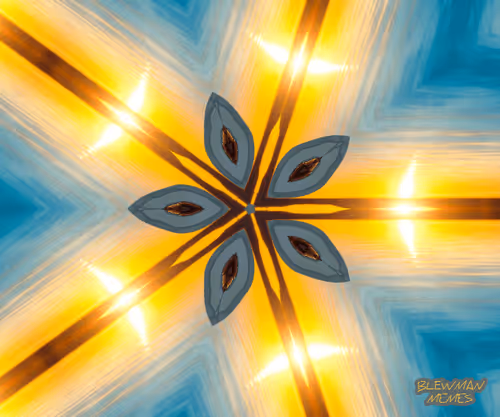 Galactic 5 Star Flower
