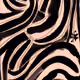 115505368531723364376271993572368256088390371906781705206205110797568344850433