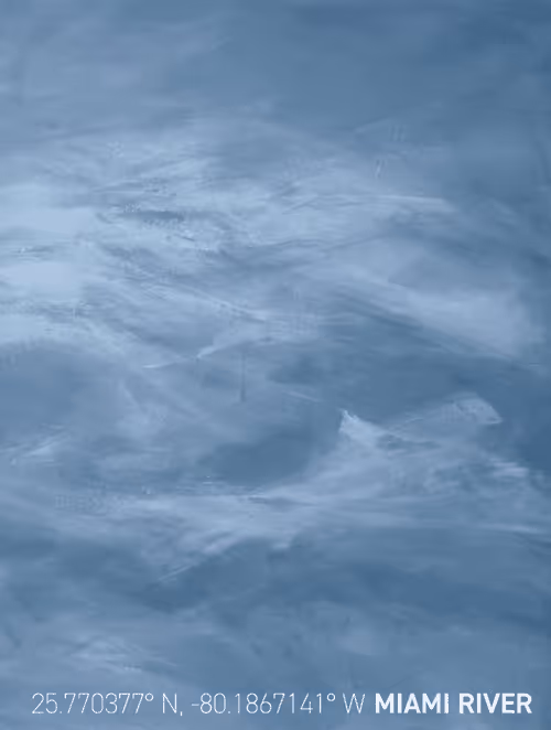 Item #26943238138681638753348092188697374887664825659826611314374211189717312995329 Media