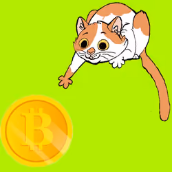 6350837724175369871207491628993880744259048437356542206956245813575553122305