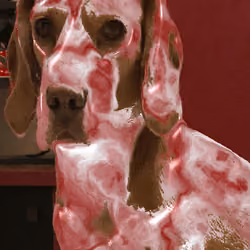 The Dog That Ate a Pigeon's Wing #3