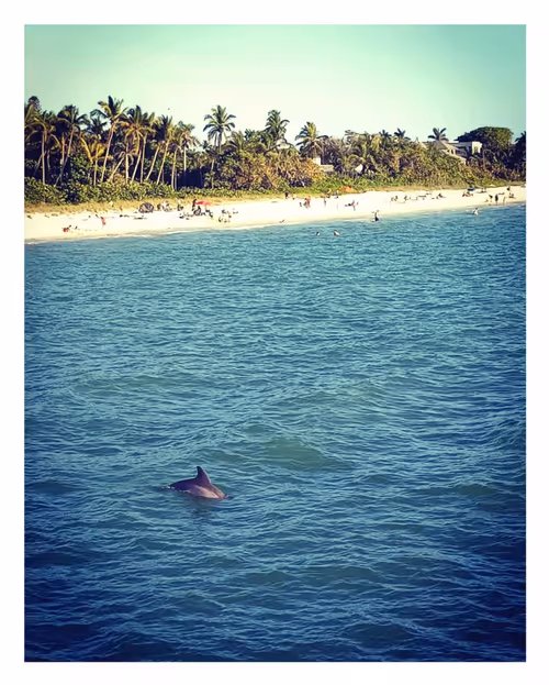 Item #112555477838739612412934407956181362613270700821392007423589074367646988763141 Media